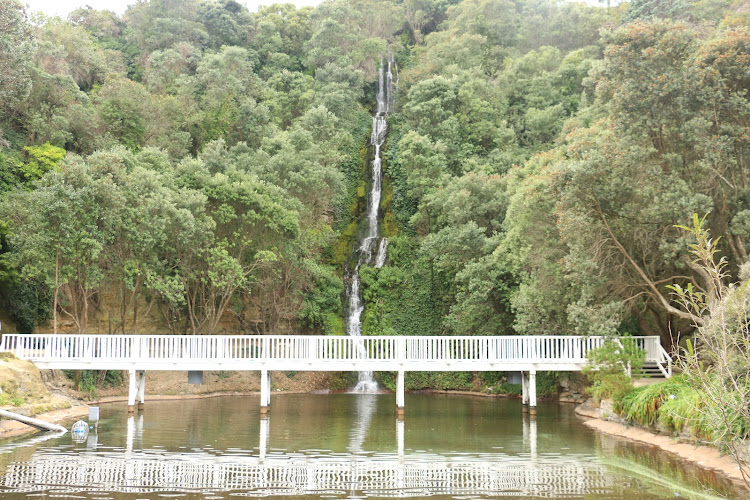 Centennial Garden Waterfall
