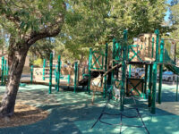 Central Park Travel Forum Reviews