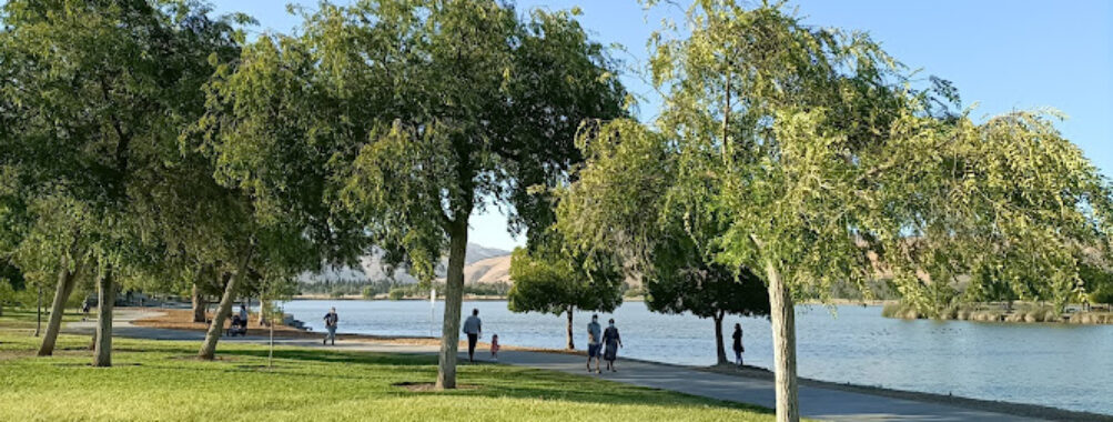 Central Park Travel Forum Reviews