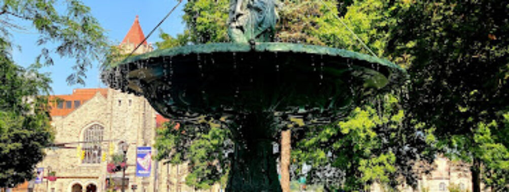 Central Park Travel Forum Reviews