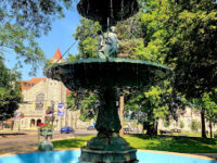 Central Park Travel Forum Reviews