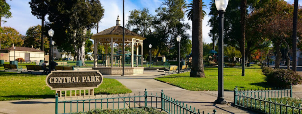 Central Park Travel Forum Reviews
