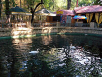 Central Park of Culture and Leisure of the city of Stavropol Travel Forum Reviews