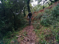 Centro BTT Alcornocales Estrecho de Gibraltar Los Barrios Travel Forum Reviews