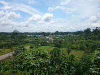 Centro de Interpretacion de Sucumbíos Travel Forum Reviews