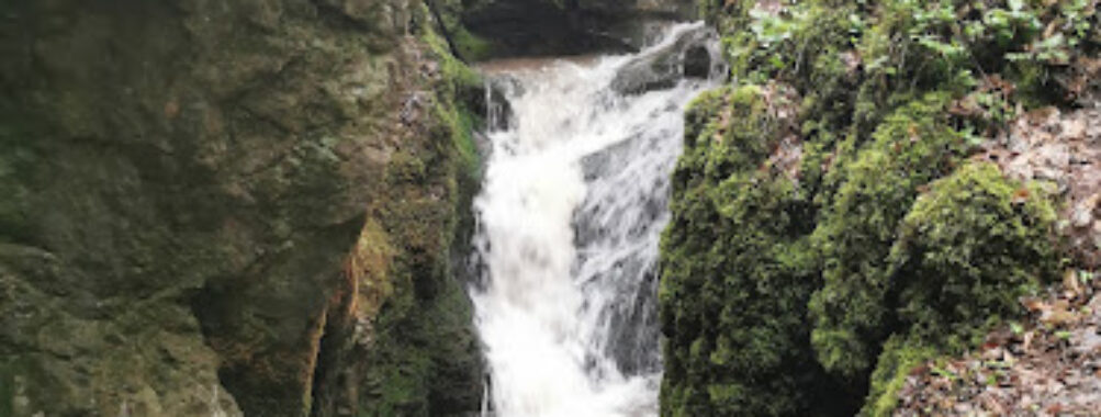 Cerje Cave Travel Forum Reviews