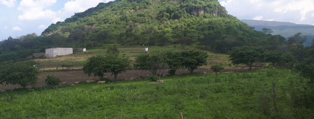 Cerro Del Curutaran Travel Forum Reviews