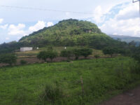Cerro Del Curutaran Travel Forum Reviews