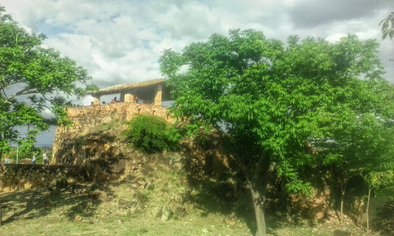 Cerro El Zamuro