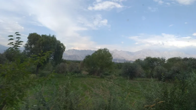 Chaharikar