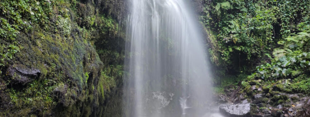 Chakvistavi Travel Forum Reviews