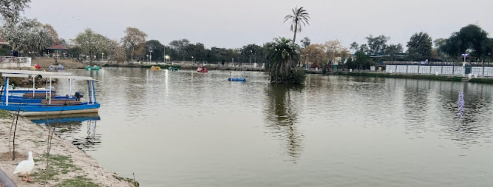 Chaman Zar e Askari Park Multan Travel Forum Reviews