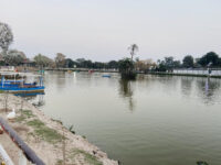 Chaman Zar e Askari Park Multan Travel Forum Reviews