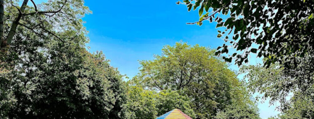 Changa Manga Forest Park Travel Forum Reviews