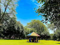 Changa Manga Forest Park Travel Forum Reviews