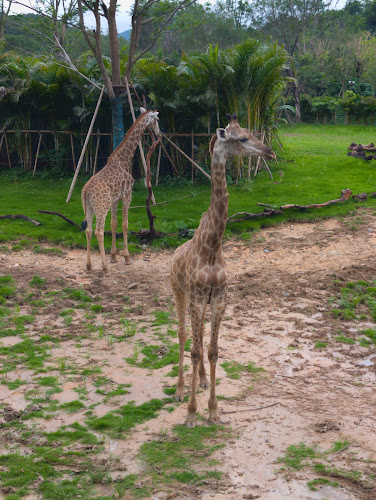 Changlong Theme Park