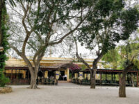 Chania Municipal Garden Travel Forum Reviews