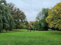 Charles Bertin Park Travel Forum Reviews