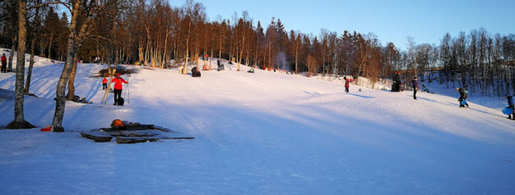 Charlottenlund Recreational Park Travel Forum Reviews