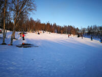 Charlottenlund Recreational Park Travel Forum Reviews