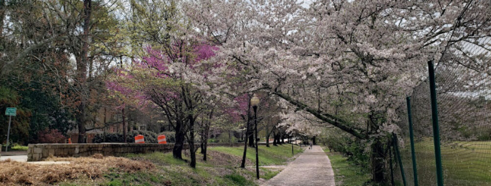 Chastain Memorial Park Travel Forum Reviews