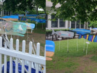 Chatham Art In The Park Travel Forum Reviews