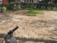 Chatri Wali Park Travel Forum Reviews