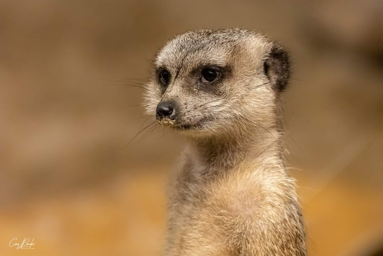 Chattanooga Zoo