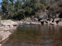 Chattar Park Travel Forum Reviews