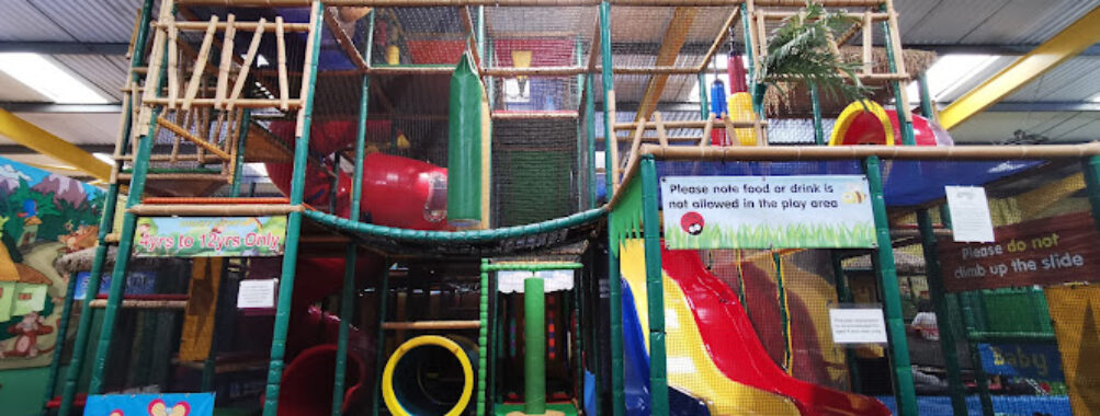 Cheeky Chimps Travel Forum Reviews
