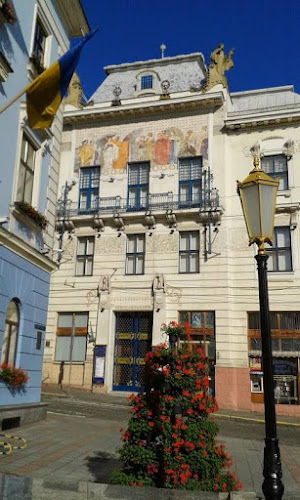 Chernivtsi Regional Art Museum