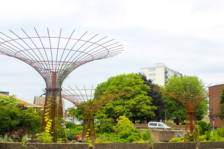 Chester Supertrees