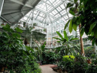 Cheyenne Botanic Gardens Travel Forum Reviews