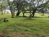Chianga Agronomic Research Station Travel Forum Reviews