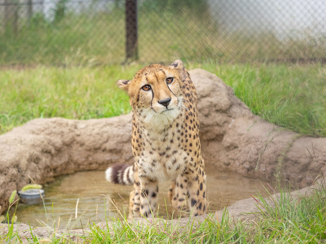 Chiba Zoological Park