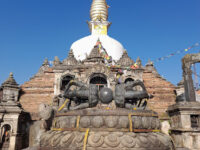 Chilancho Travel Forum Reviews
