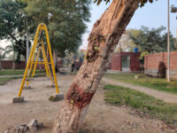 Children Family Park Travel Forum Reviews