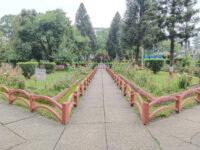 Children Park Travel Forum Reviews