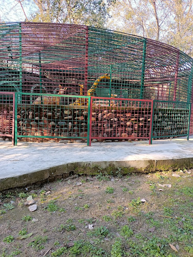 Childrens Park