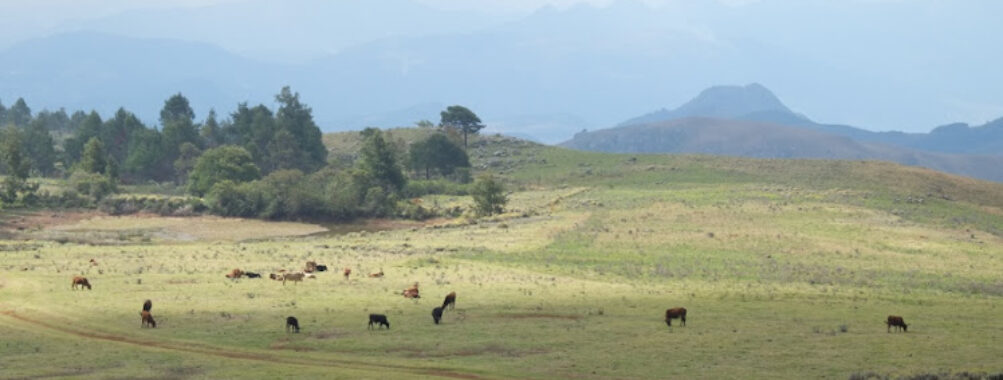 Chimanimani National Park Travel Forum Reviews