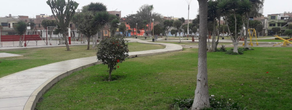 Chimpum Park Travel Forum Reviews