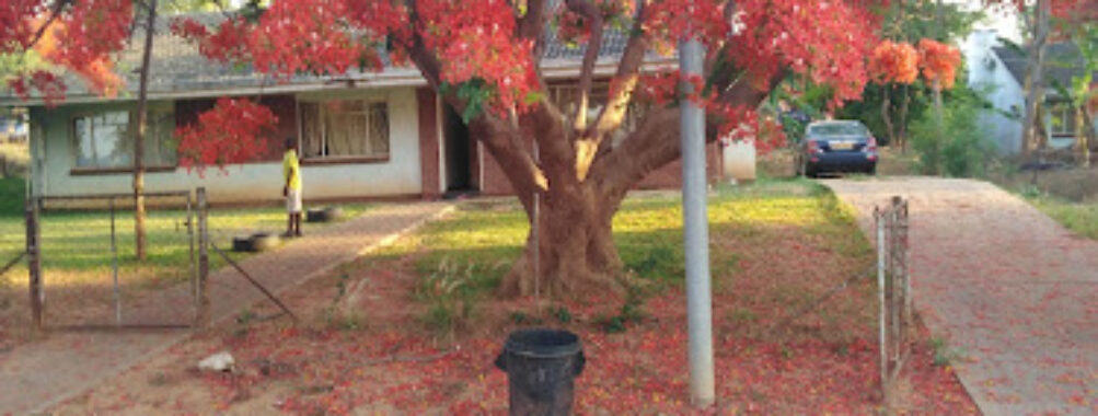 Chinhoyi University of Technology Main Gate Travel Forum Reviews
