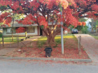 Chinhoyi University of Technology Main Gate Travel Forum Reviews