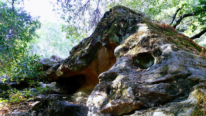 Chitactac-Adams County Park