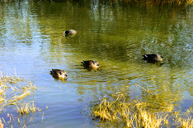 Chokushi Waterside Park