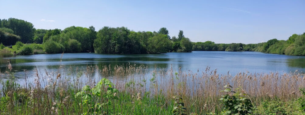 Chorlton Water Park Travel Forum Reviews
