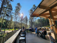Christchurch Adventure Park Travel Forum Reviews