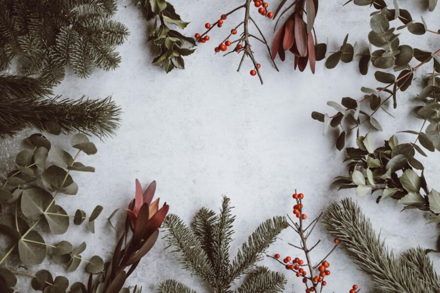 Christmastide in Virginia guided tour Review