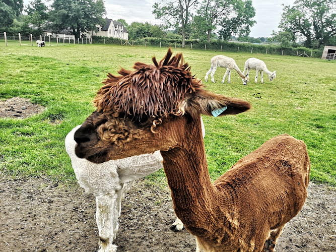 Church Farm Tea Rooms & Childrens Farm