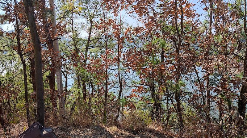 Chuxiong Elu Park